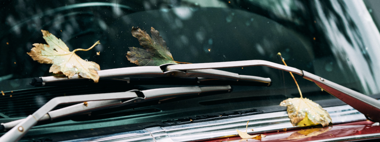 /media/blog/library/wipers-close-up.png